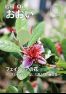 広報おおい7月号