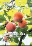 広報おおい11月号