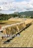 広報おおい10月号