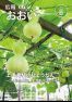 広報おおい8月号