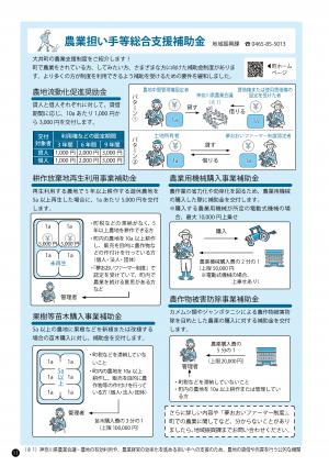 P.11