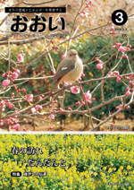 広報おおい(平成25年3月号)の画像