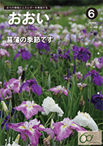 広報おおい（平成28年6月号）の画像