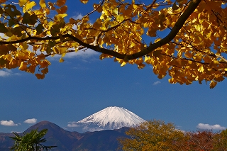 錦秋の富士の画像