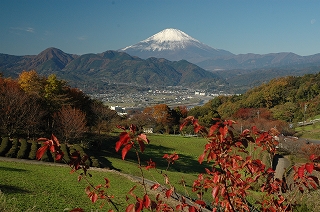 里の秋の画像