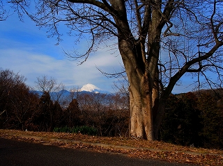 いこいの村からの富士山の画像