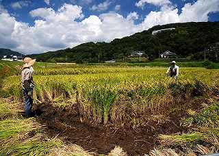 里の秋の画像