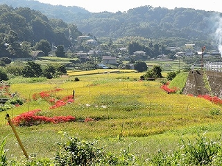 心癒される里の風景の画像