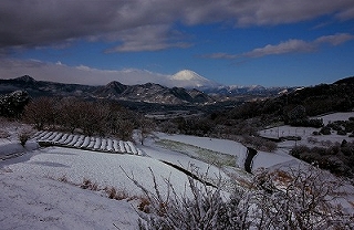 里山の雪景色の画像