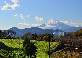 風渡る丘の画像