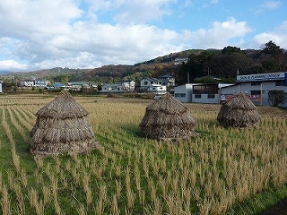 里山の画像