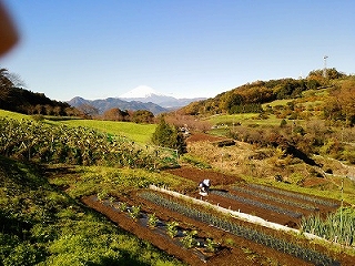 心癒される山里の画像