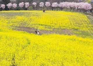 春の歓びの画像