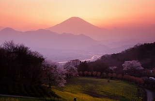 夕色の画像