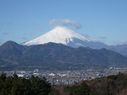 農村公園からの富士の画像