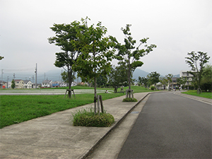 湘光園ひろばの画像