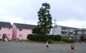 水神宮公園の画像