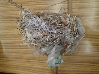 ごみ袋を使った鳥の巣の画像