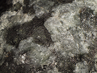 スカルン鉱物（顕微鏡写真）の画像