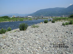 酒匂川三角土手付近の画像