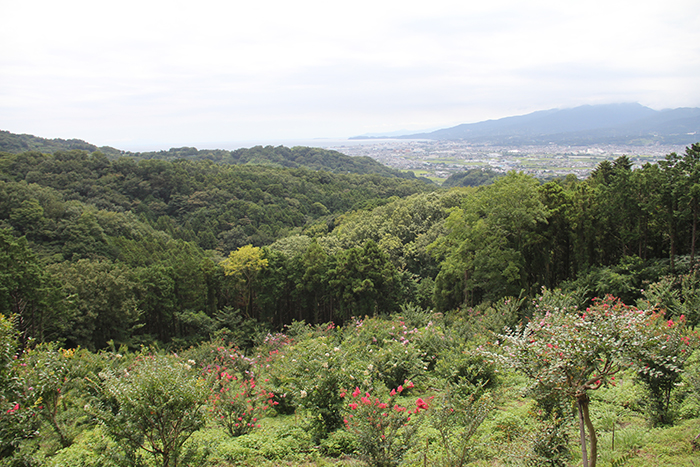 花木園3からの眺望の画像