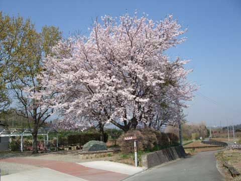 農村公園の画像