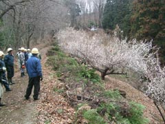 花木園1付近の作業風景の画像