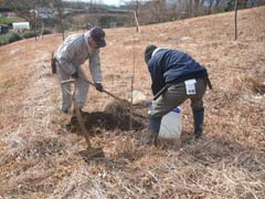 記念植樹エリア付近の作業風景の画像