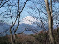 富士山の画像