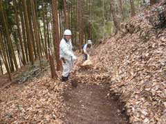 水辺の里に向かう散策路の画像