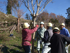 固定作業の画像