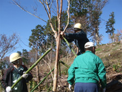 固定作業の画像