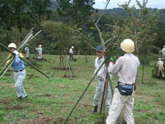 作業は順調の画像