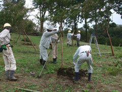 丁寧な作業の画像