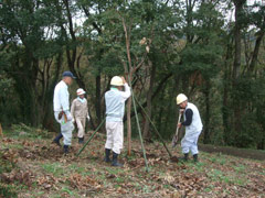 作業の終盤の画像