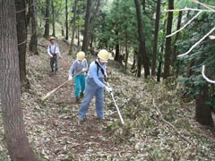 散策路の枝を片付ける隊員たちの画像