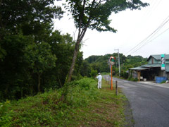 町道２3号線沿いの草刈り前の様子の画像