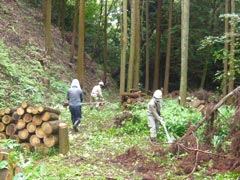 花木園3南側の散策路の画像