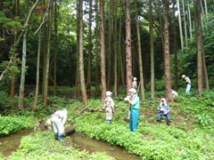 ひょうたん島付近で休憩する隊員たちの画像