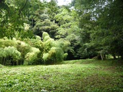 草刈り作業が終了した水辺の里ゾーンの画像