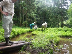 しばし作業の手を休め、池の中を眺める隊員たちの画像