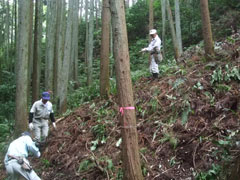 ここは丸太階段設置現場ですの画像