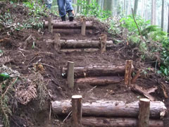 設置が完了した丸太階段の画像