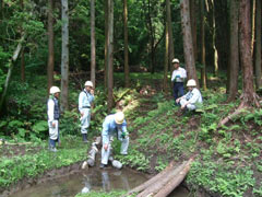 池に水が溜まり始めましたの画像