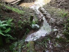 完成した導水路の様子の画像