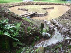 完成した池と導水路の様子の画像