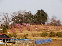 活動風景の画像