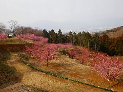 活動風景の画像