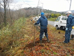 活動風景の画像