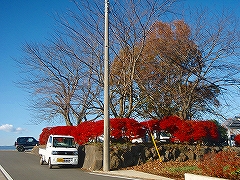 活動風景の画像